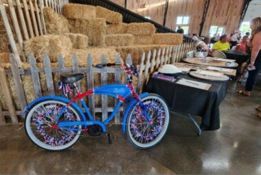 a decorated bicycle and table full of wooden signs with hay bales in the background